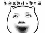 各大视频网站会员免费看，约吗？-各大视频平台电视端会员